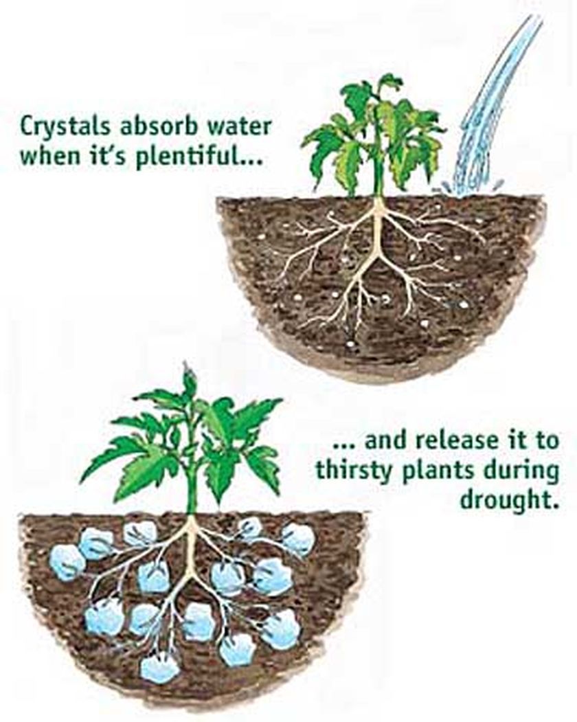 Water Absorbing Polymer Crystals - Soil Moist - Cricket Water Gel