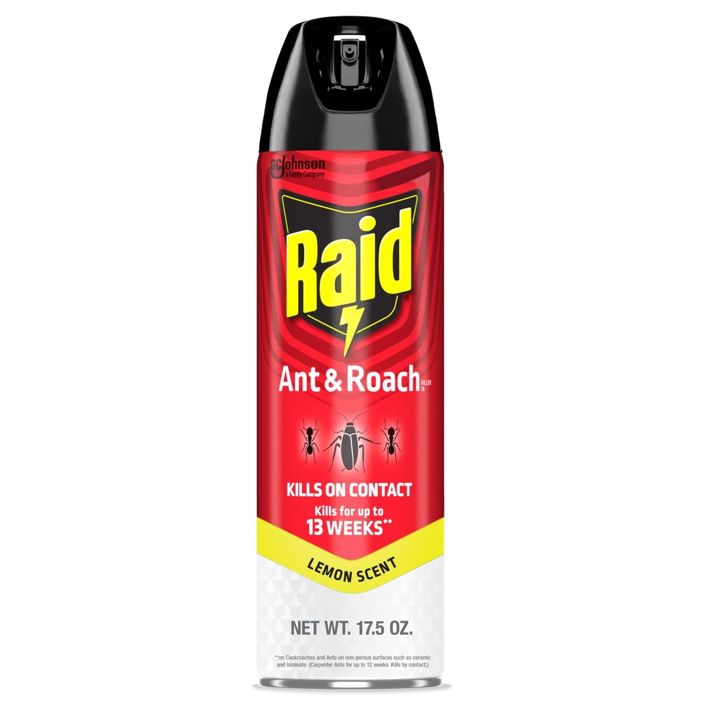 Raid Ant & Roach Killer Spray For Listed Bugs Keeps Killing for Weeks Lemon