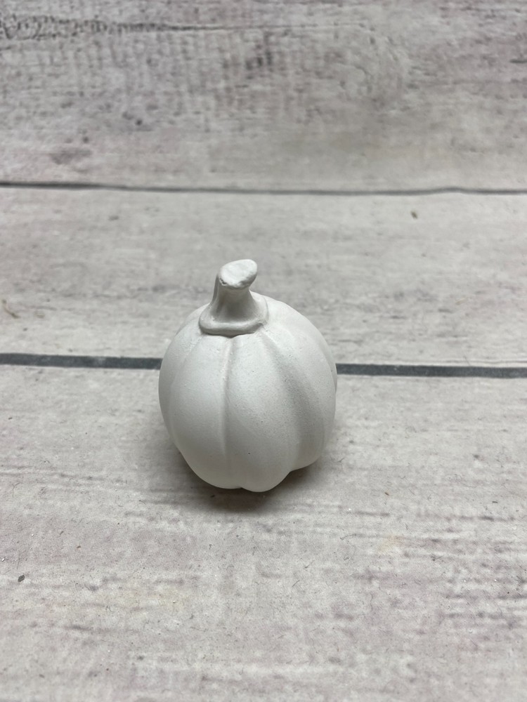 Ceramic Bisque Pumpkin Paint Ghost Halloween Fall Decor Set