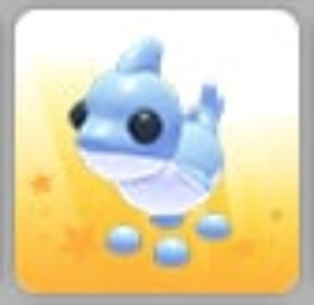 Shark Puppy | Adopt Now