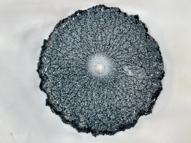 Sm 3 oz Volume Silicone Crystal Edged Tapered Coaster Mold