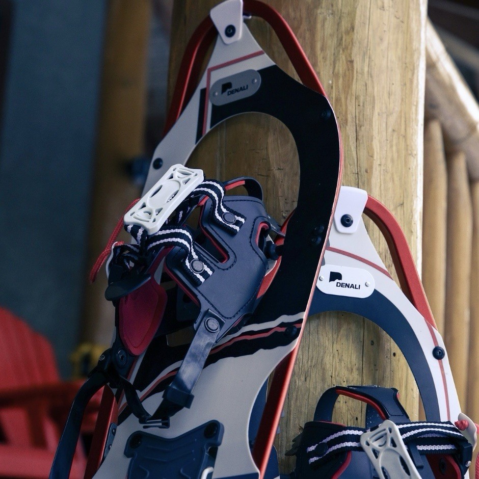 Denali Pro Snowshoes 9x30 – Walking on Snow, Yard, Property, Trails