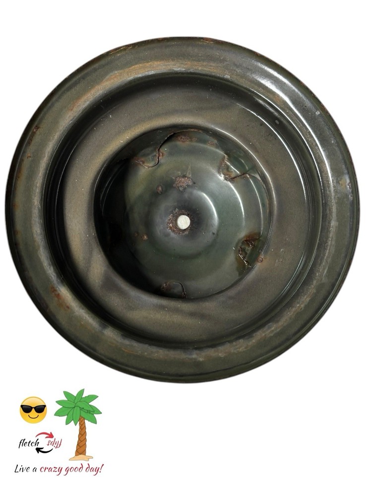 Coleman 220K Lantern Ventilator Cap Lid See Compatibility Chart in Description