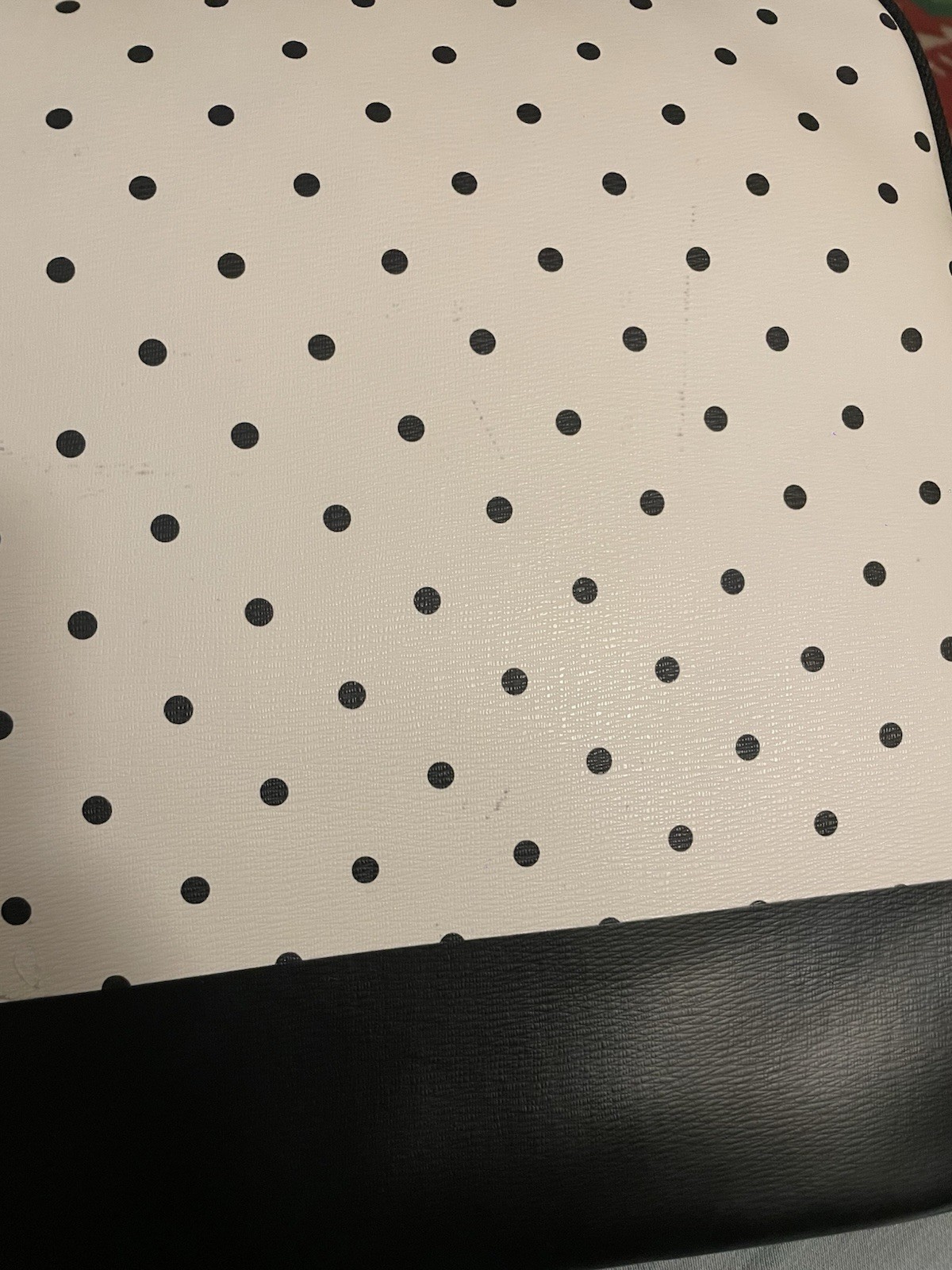 Kate Spade Disney Minnie Mouse Figaro Cat Laptop Sleeve Limited Edition