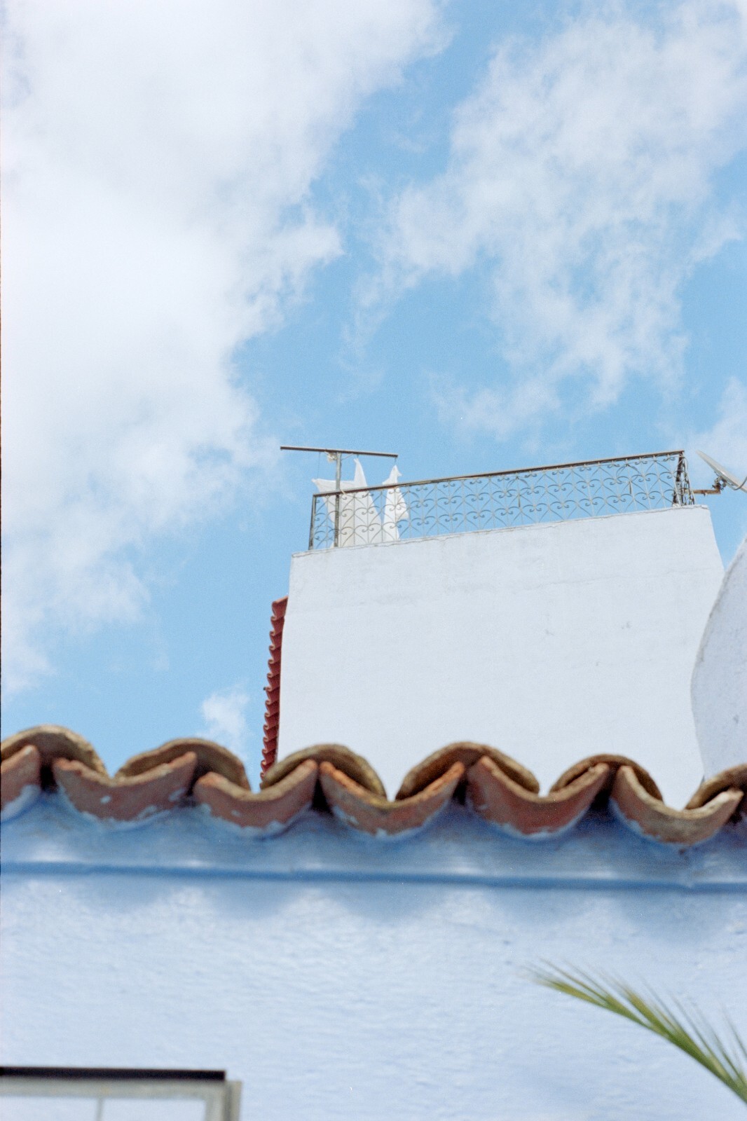 30m Dealer's V3 250D, RESPOOLED Kodak Vision 3 AHU, NO REMJET C41 35mm Film Bulk