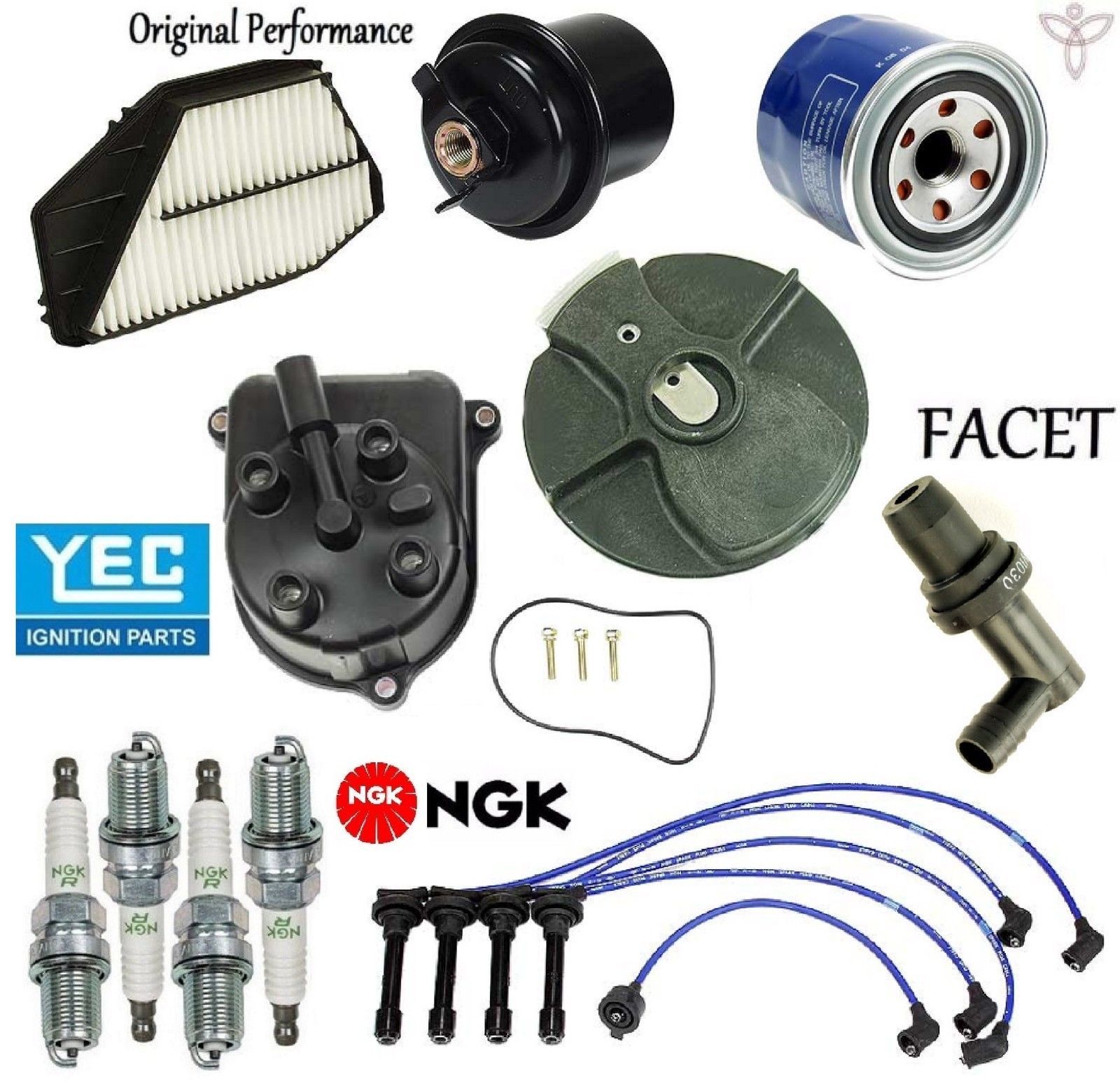 Tune Up Kit Filters Pcv Cap Rotors Wires Plugs for Honda Accord 2.2L 1994-1996