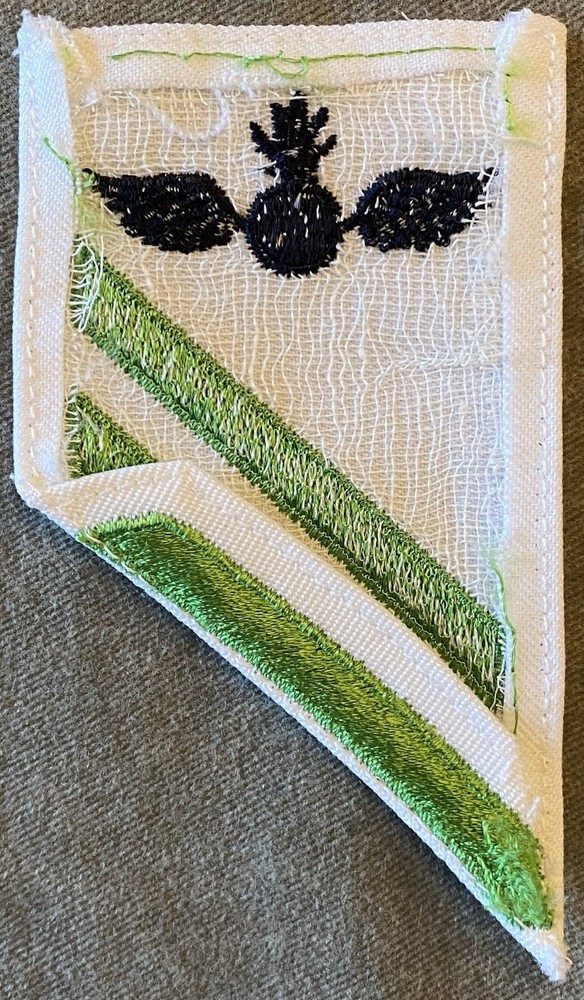 US Navy Rate Aviation Ordnanceman Airman Apprentice Patch E-2 Striker USN AOAA