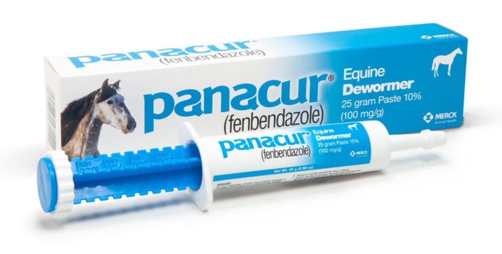 Panacur Equine Dewormer, 25 g