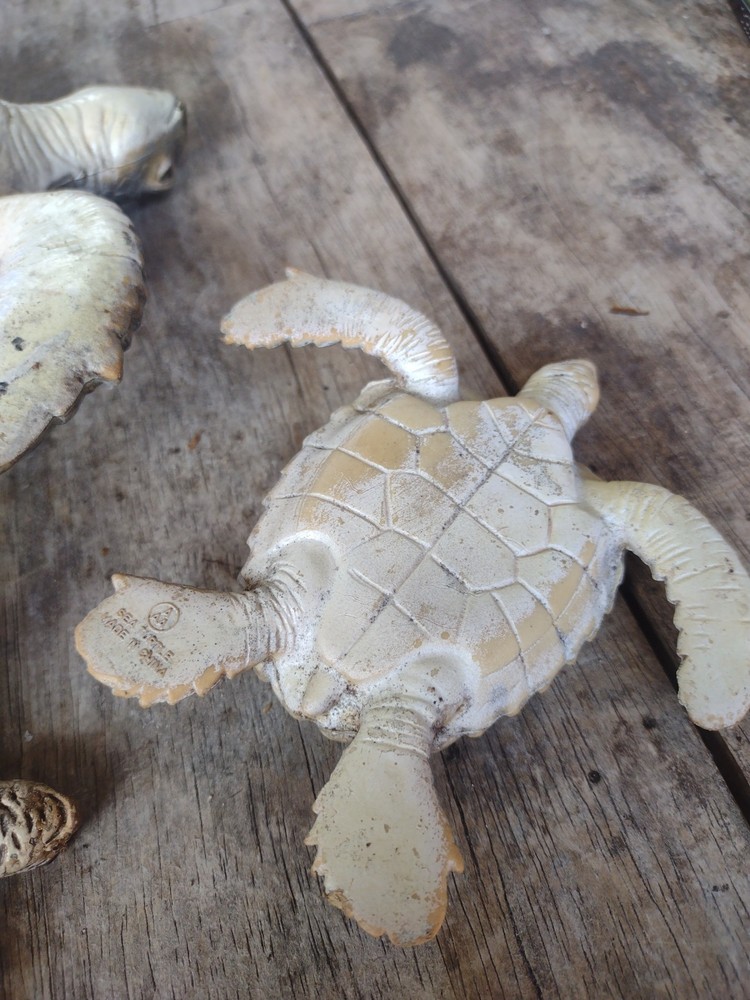 rubber turtles decor