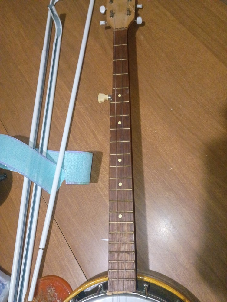 Banjo Needs Strings