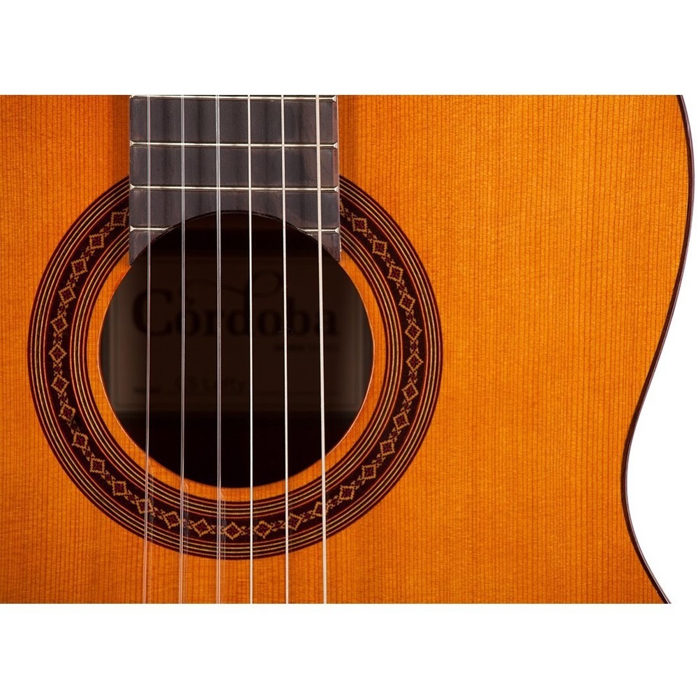 Cordoba C5 Lefty - Solid Cedar Left HandNylon String Acoustic Guitar - Full Size