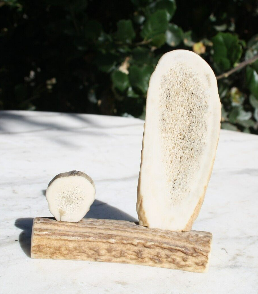Vintage Antler Bone Thermometer Celsius with Turquoise Leaf