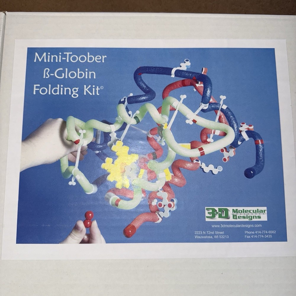 3D Molecular Designs Mini-Toober ß-Globin Folding Kit
