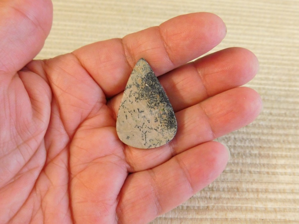 Dinosaur Bone Cabochons - 4 pcs