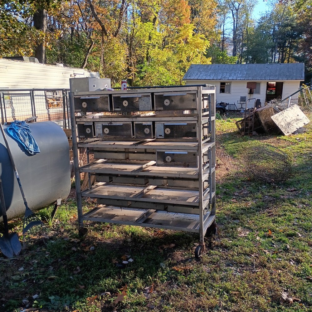 Mice Cage Or Breader Or Store For Mice