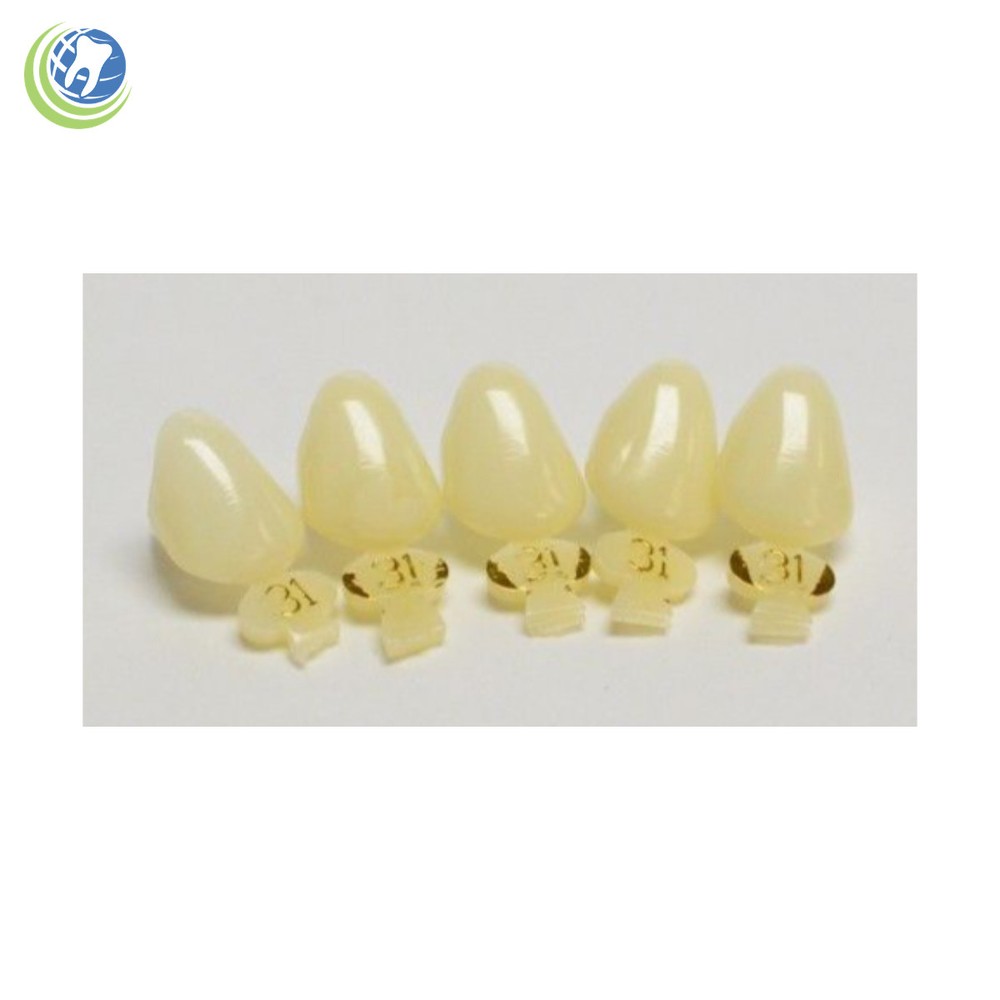 DENTAL POLYCARBONATE TEMPORARY CROWNS #31 (URC) UPPER RIGHT CUSPID 5/PACK
