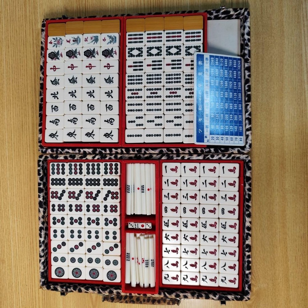 Mahjong tile set in leopard print case