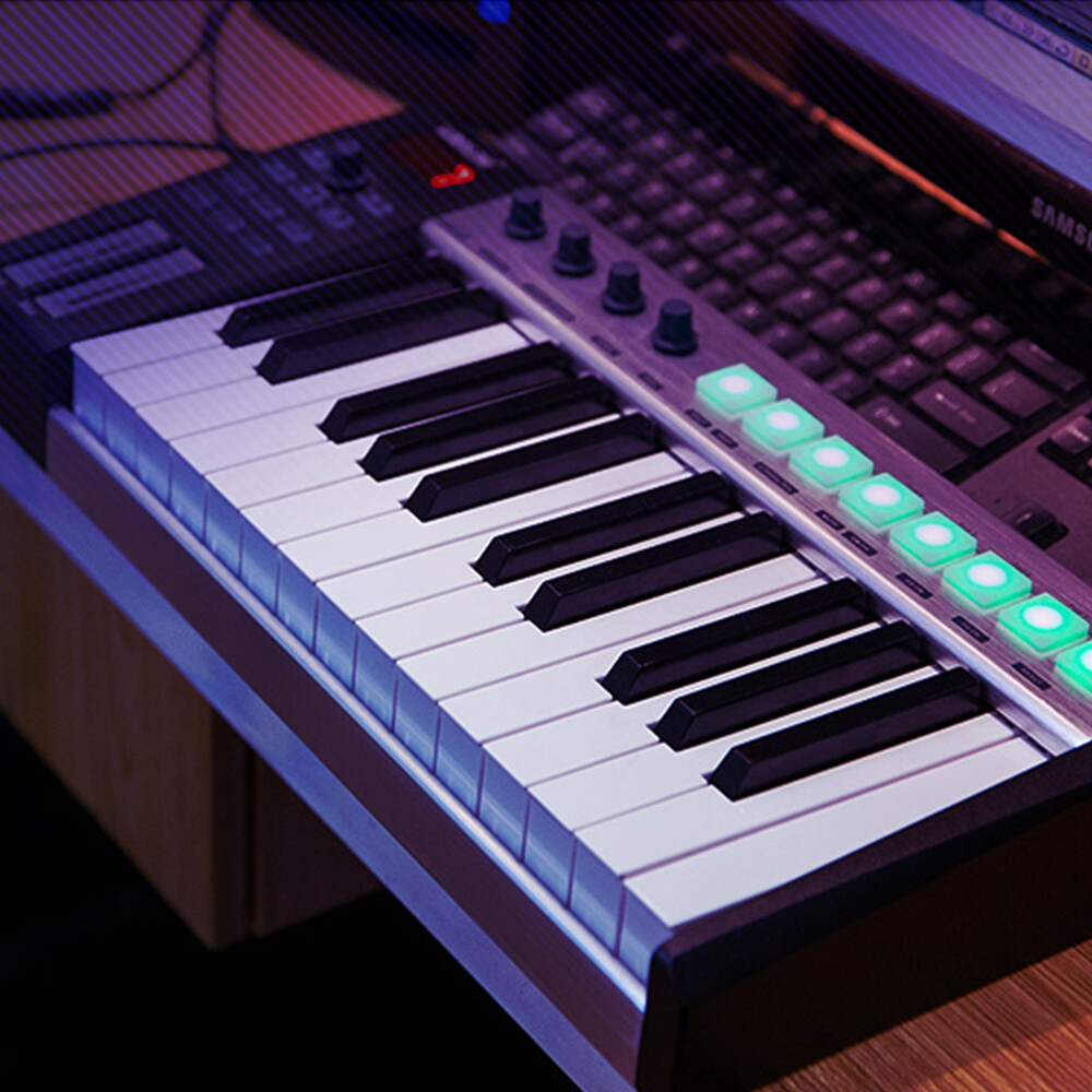 WORLDE Blue whale 25 key USB MIDI Controller Keyboard Trigger Pads w/ USB Cable