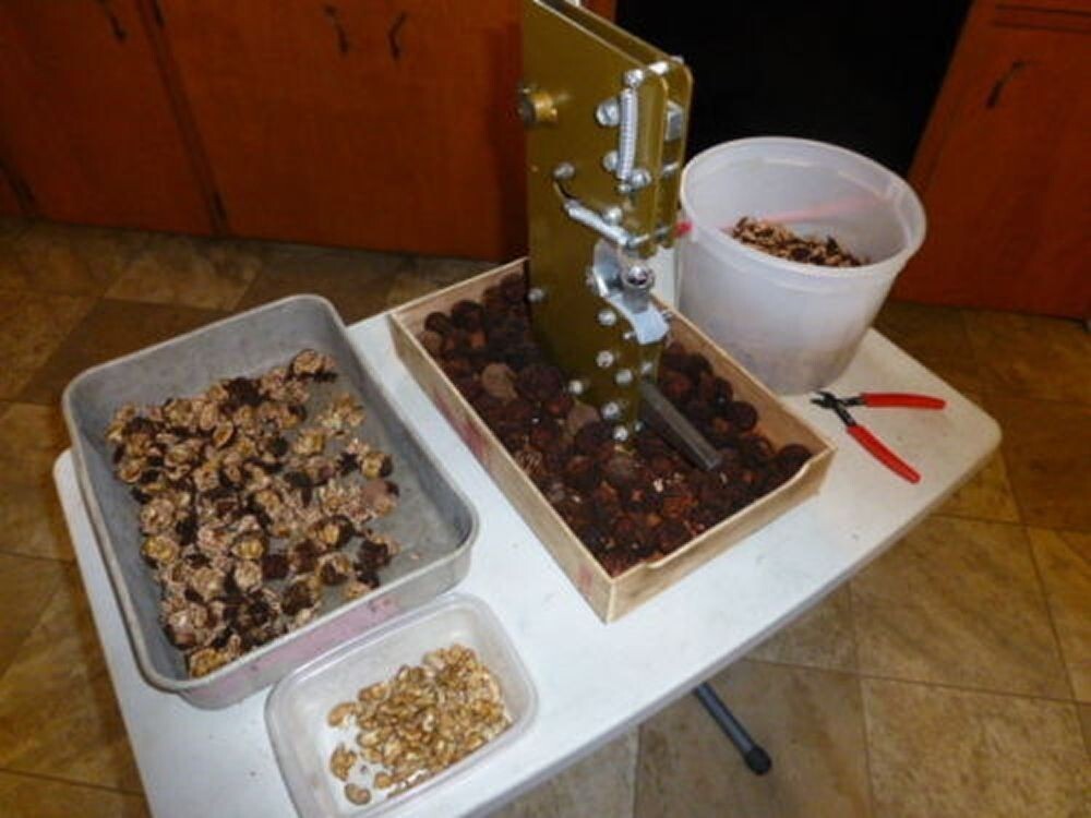 World Best Black Walnut Nut Cracker - Grandpa's Goody Getter