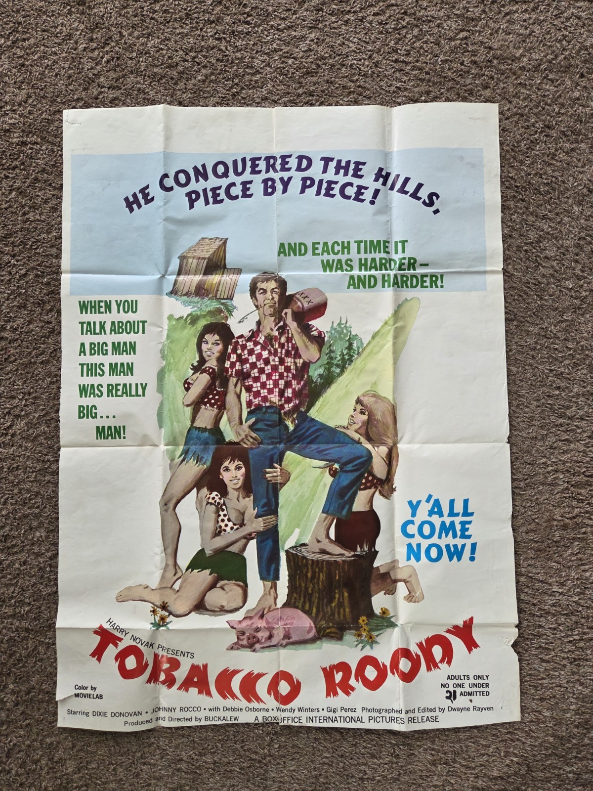 Tobacco Roody Movie Rare One Sheet Poster 1970