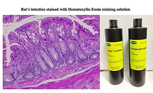 Hematoxylin-Eosin (H&E) Staining Kit 500 mL from TISSUEPRO