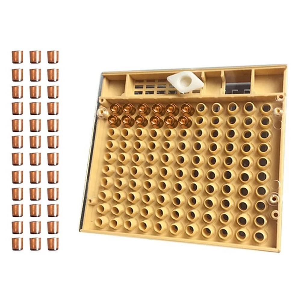 Beekeeping Tool Queen Rearing System Cultivating Box 120pcs Plastic Bee Cell Cup