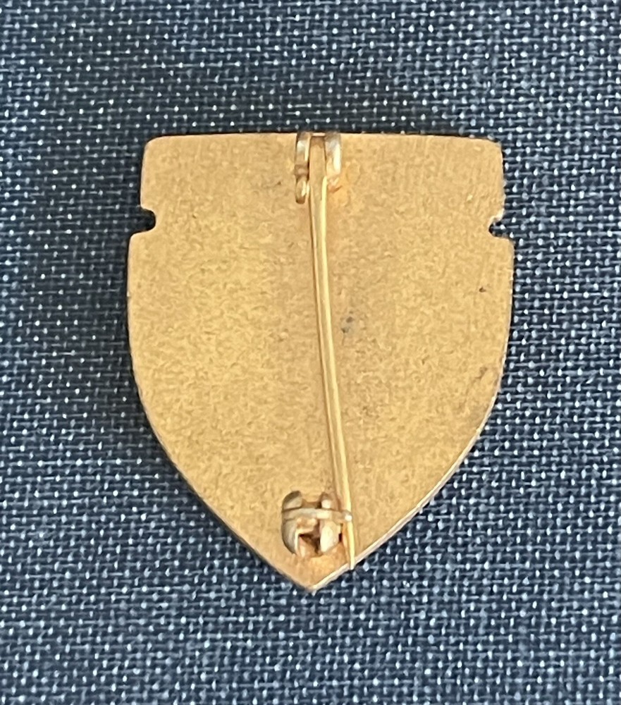 National Field Archery Instructor Pin