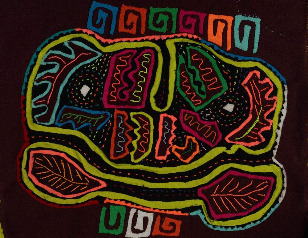 Rainbow Colors Jungle Parrot Bird Mola
