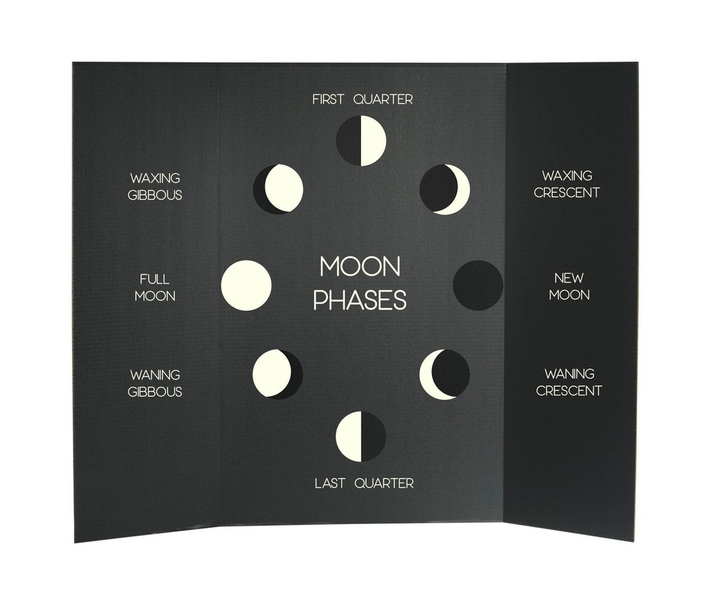 Flipside Products 36” x 48” Project Boards for Presentations, Scienc