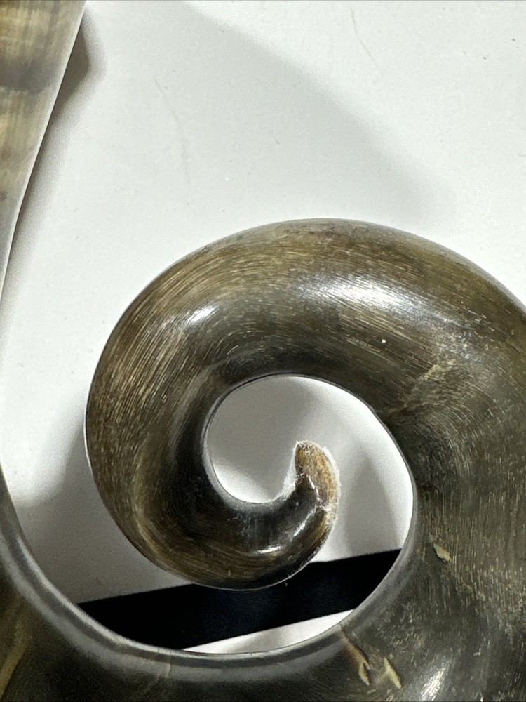 A Fine Scottish Silver Mounted Snuff Mull