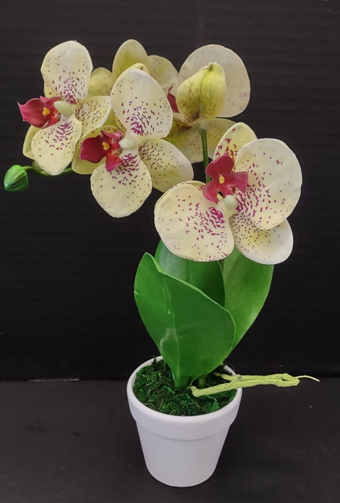 Artificial mini Phalaenopsis orchid