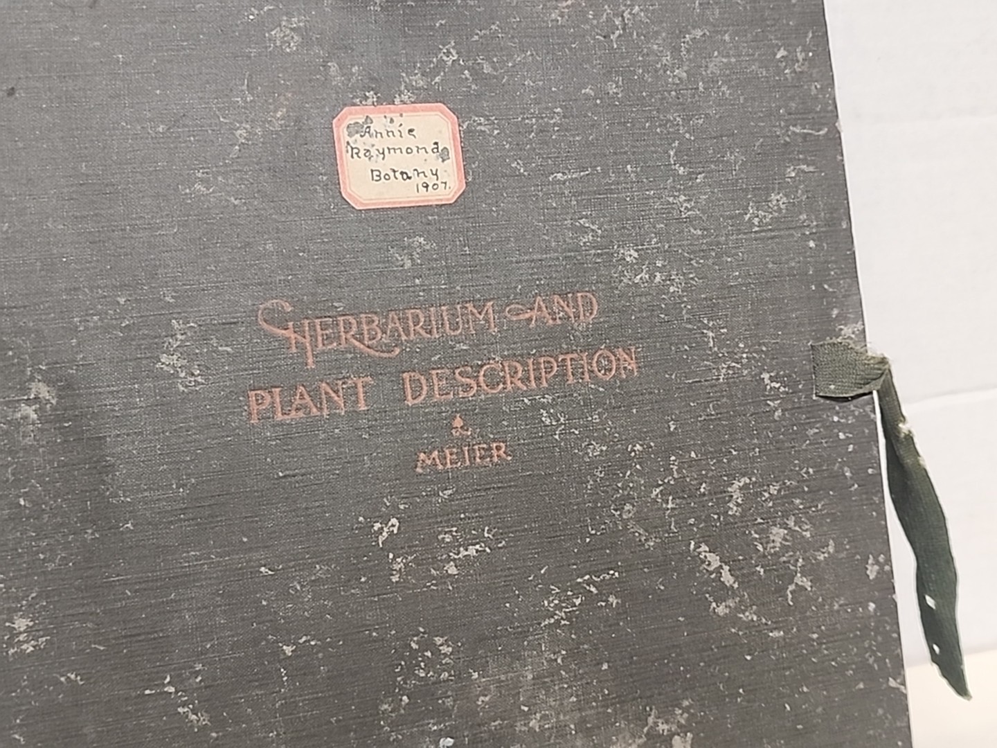 Antique HERBARIUM AND PLANT DESCRIPTIONS Meier Ginn And Company Complete 1907