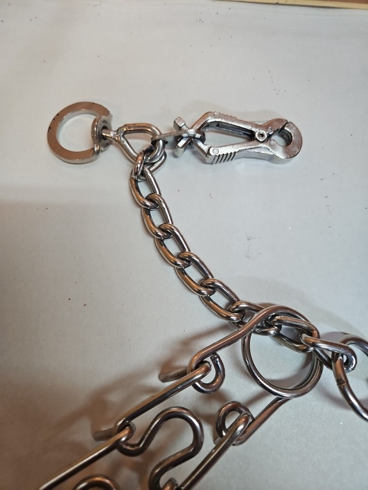 Prong Training Collar for Dogs; 13"