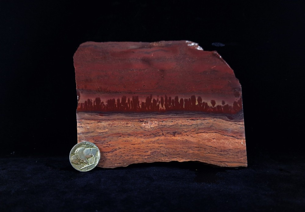Mimbres Picture Jasper Slab