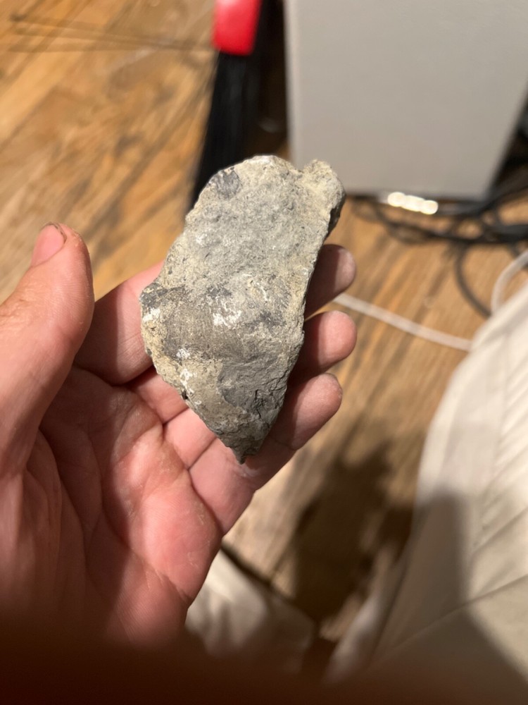 fossils other