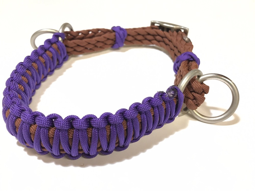 side pull hackamore attachment with a whoa neon purple