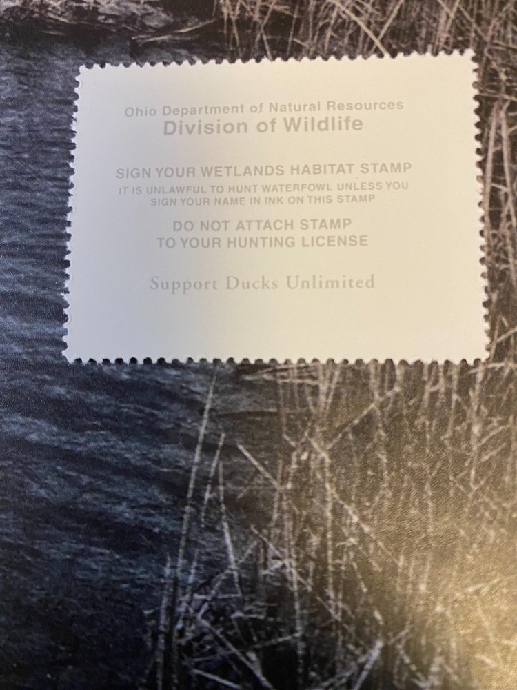 1994 Ohio State Duck Stamp,