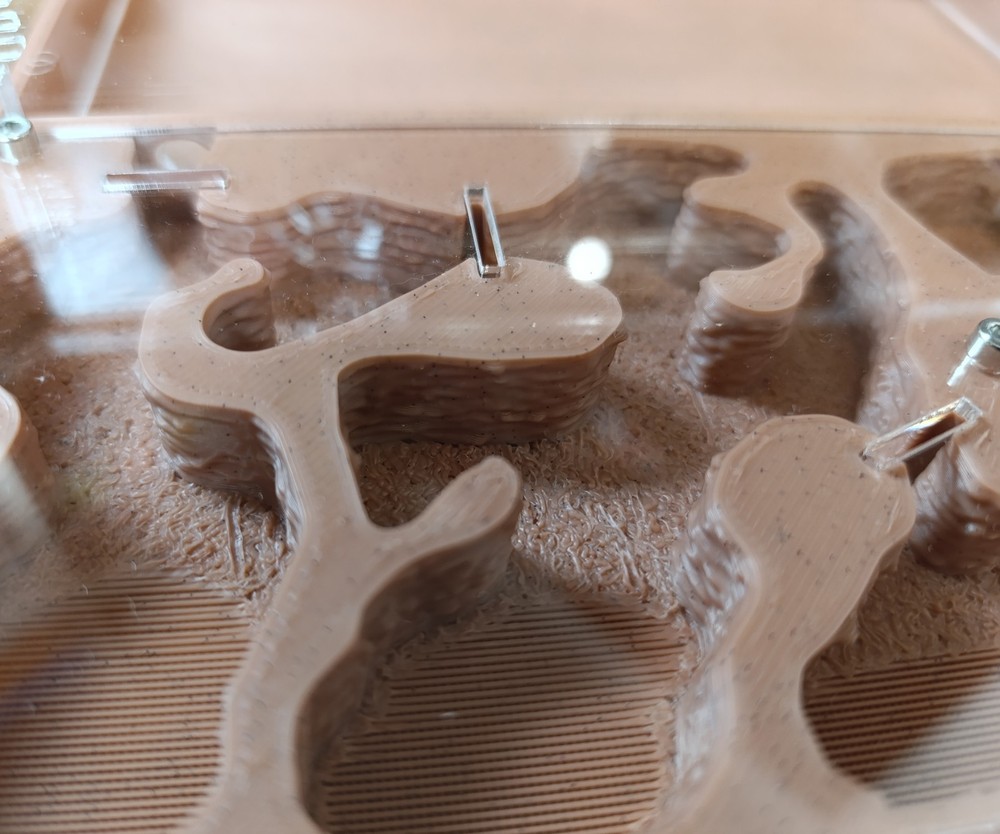 Ant farm " "Easy Start PLUS"