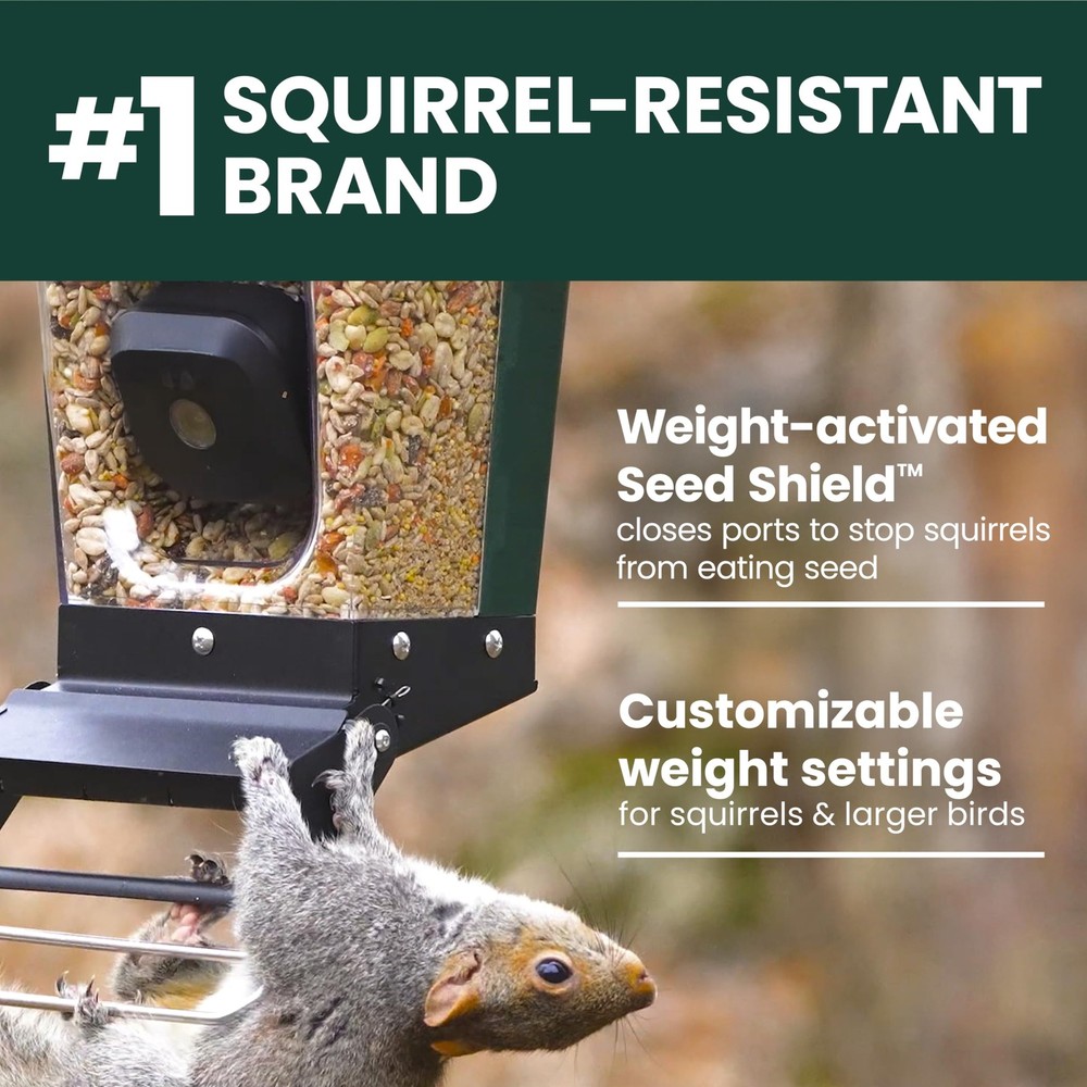 Perky-Pet Solar Powered Smart Bird Feeder with Camera - Forest Green