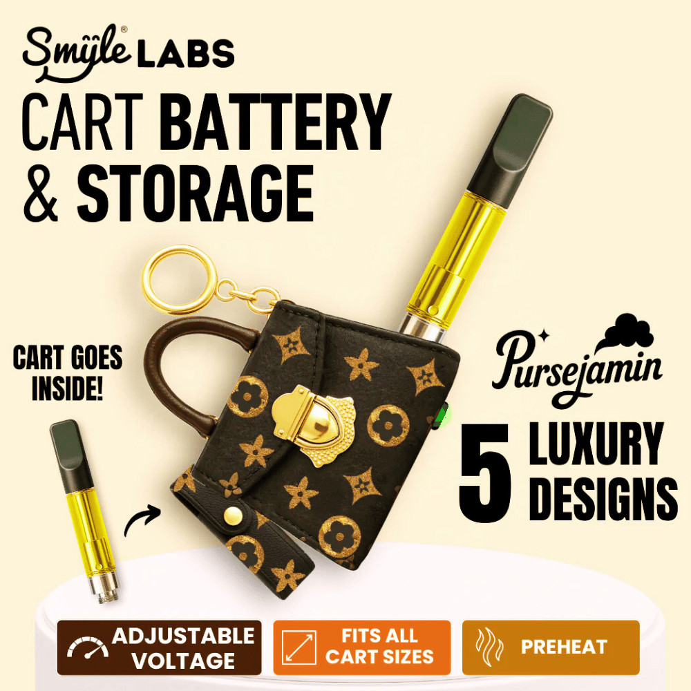 Handbag Battery by Smyle™ Labs