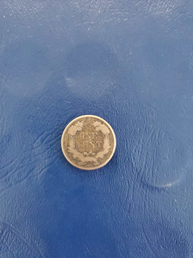 1858 Flying Eagle One Cent Coin with Large Letters Circulated