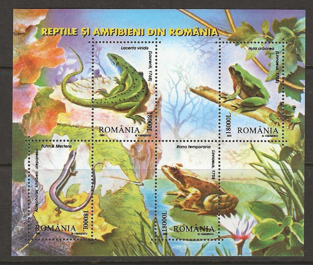 Romania 2003  frogs lizard MNH  (q090)