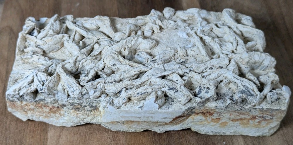 Colony Trace Fossil