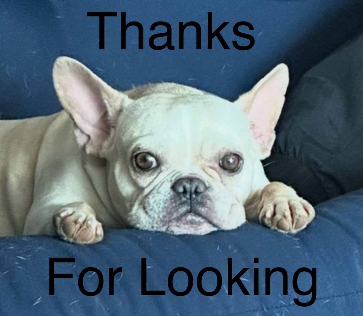 TAX THIS DICK FED BOY ROLF 3x4 Embroidered Morale Patch Hook Backing Brand New