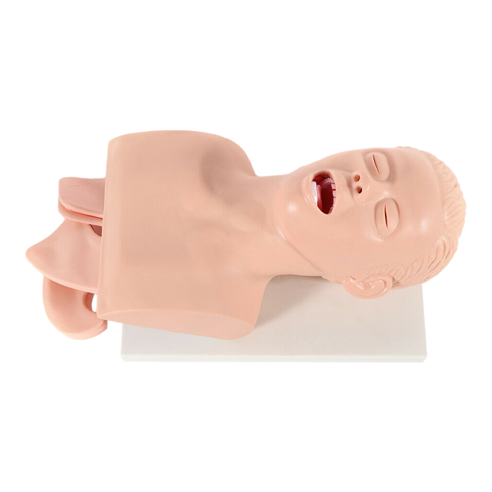 Intubation Manikin Study Teaching Model Adult Airway Management Trainer 110V