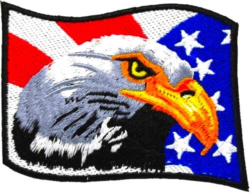 Biker Patch BALD EAGLE AMERICAN FLAG iron-on or SEW Pair SET