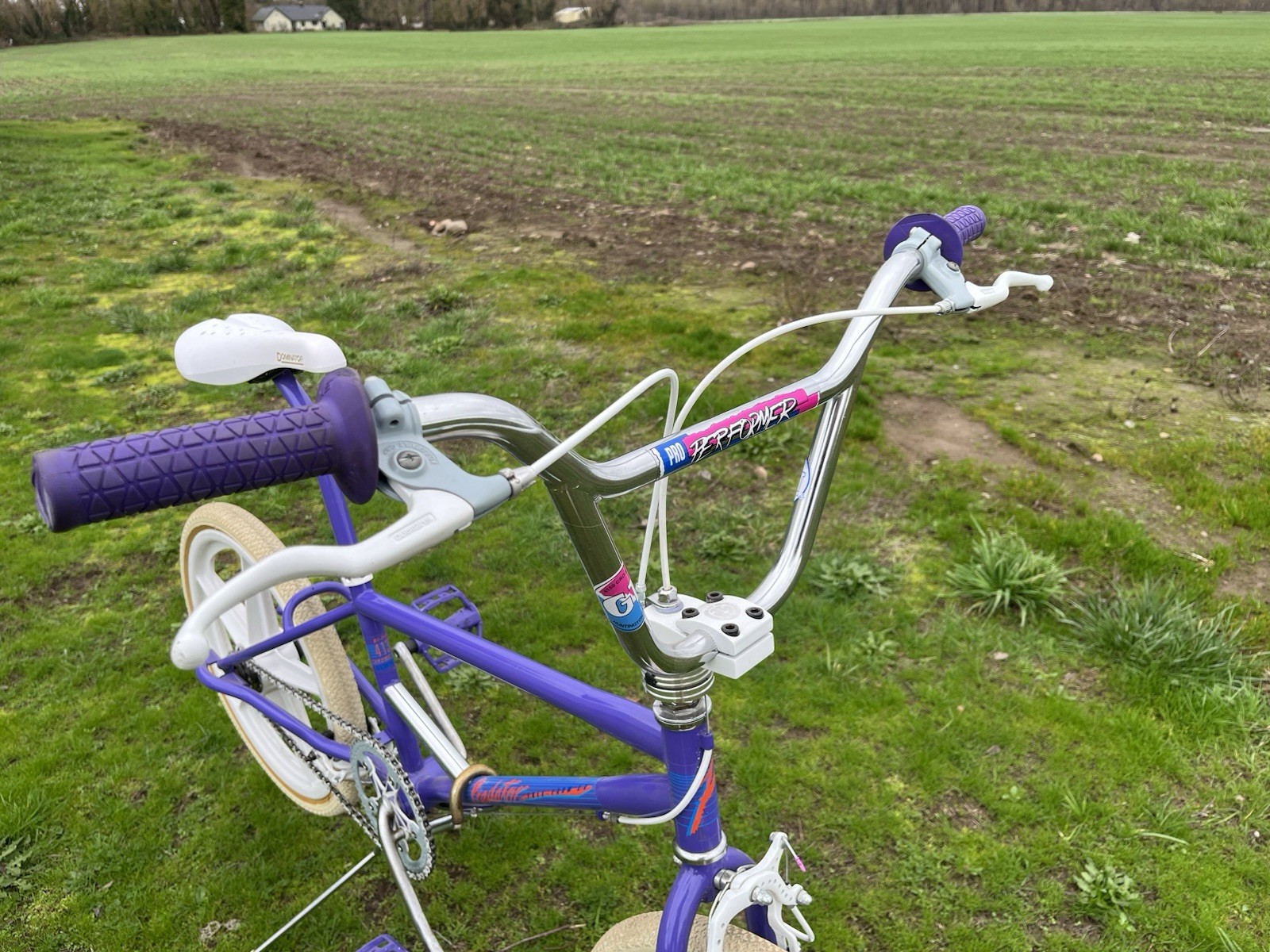 1987 schwinn predator free form ex Old School Bmx Freestyle GT Skyway Ame Resto