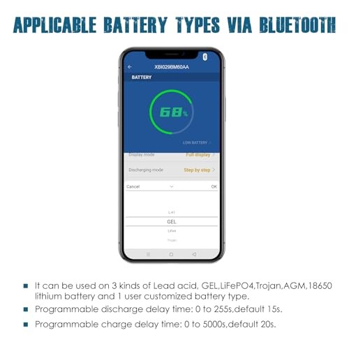 RL-BI029-BT Bluetooth Battery Indicator Volt Meter DC 12V to 48V