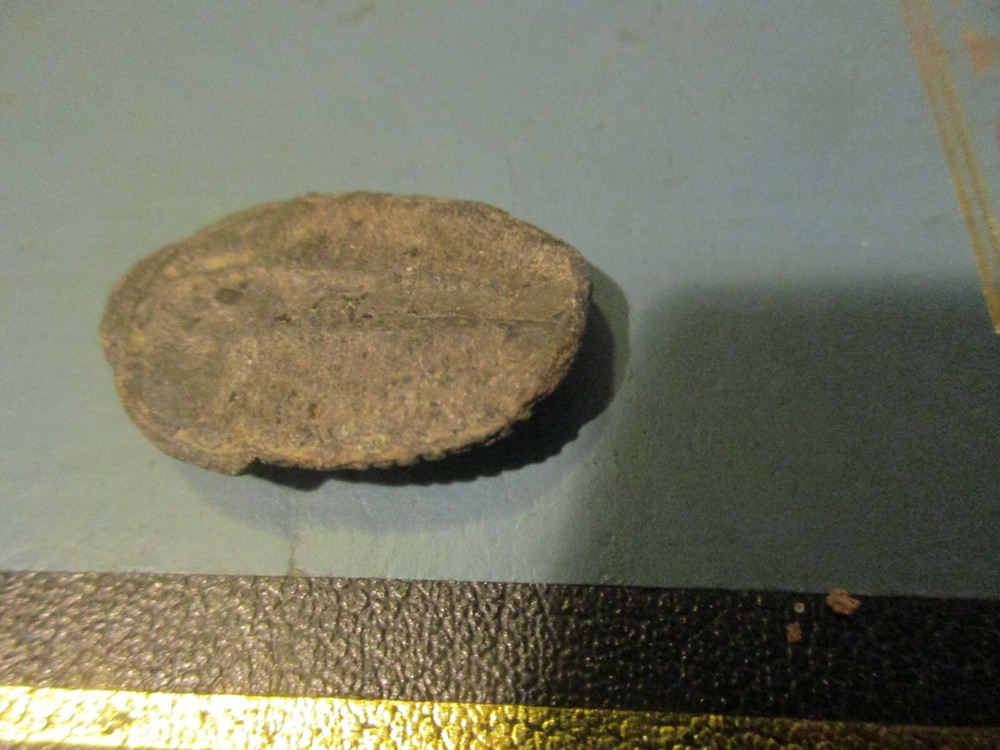 1-1/4" Trilobite Fossil