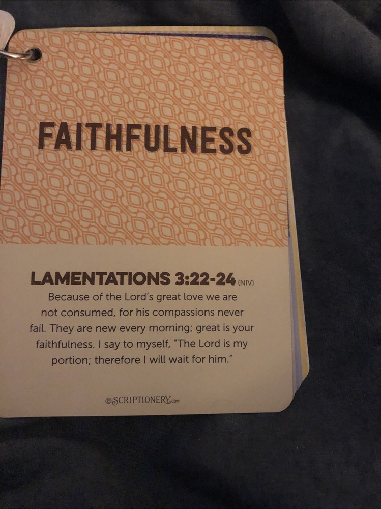 Scriptionery - Go forth Scripture Truths 20 Bible Verses Cards on a ring